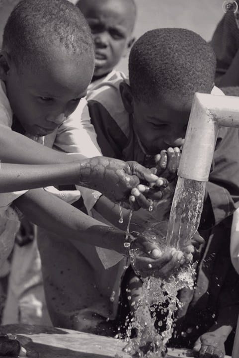 Attorno al punto d’acqua, la vita ricomincia.