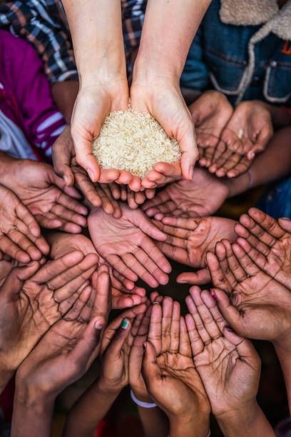 Hands gathered around shared rice
